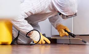 Best Residential Pest Control  in Sierra Ridge, CO